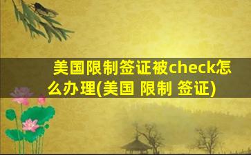 美国限制签证被check怎么办理(美国 限制 签证)